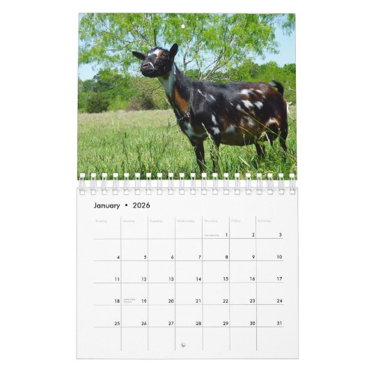 草K-N-Sの農場のカレンダーのヤギ カレンダー (1月 2026)