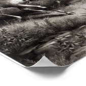 荒々しいライダー:セオドア・ルーズベルト大佐 ポスター (角)