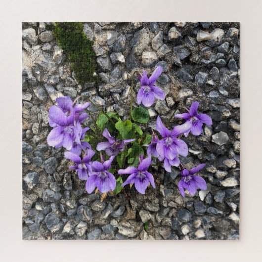 荒々しい壁から生える野生のスミレの花 ジグソーパズル (縦)