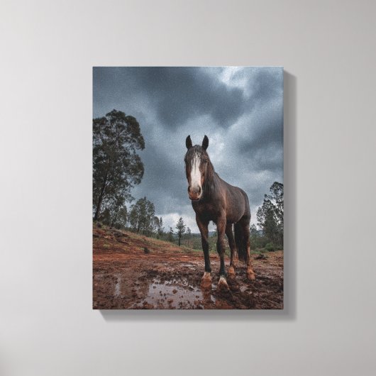 荒々しい空の下の強靭な馬の絵画 キャンバスプリント (正面)