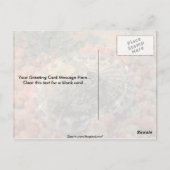 荒いキーホールリンペット(Diodora aspera)シェル ポストカード (裏面)