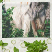 荒いコリータオル キッチンタオル (折り畳み)