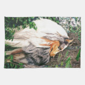 荒いコリータオル キッチンタオル (横)