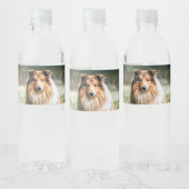 荒い草原にコリー ペットボトルラベル (ボトル)