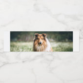 荒い草原にコリー ペットボトルラベル (シングルラベル)