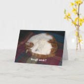 荒い週か。 カード (黄色い花)