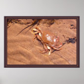 荒れ果てた海岸 ポスター (正面)