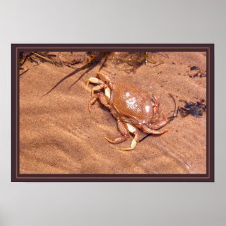 荒れ果てた海岸 ポスター