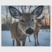 荒れ果てた生活を送る貴重な夕日 ラッピングペーパー (フラット)