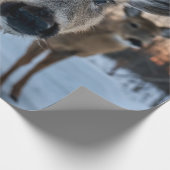 荒れ果てた生活を送る貴重な夕日 ラッピングペーパー (角)