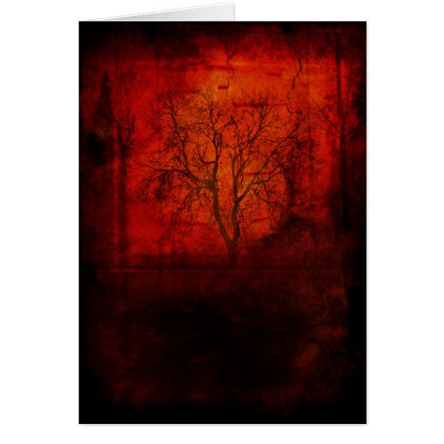 荒れ果てた (正面)