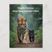 荒れ狂う猫の友人たち シーズンポストカード (正面)