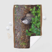 荒れ狂った状態で起こる ゴルフタオル (インサイチュ)