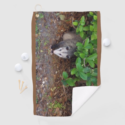 荒れ狂った状態で起こる ゴルフタオル (インサイチュ)