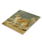 荒上塗を施してあるコリー1809年(油船上に) タイル (側面)