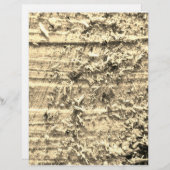 荒削り紙 レターヘッド (正面/裏面)