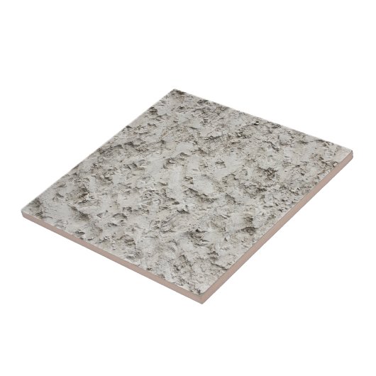 荒壁サーフェス タイル (側面)