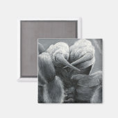 荒根井手 マグネット (正面/裏面)