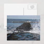 荒波の写真はがき ポストカード (正面/裏面)
