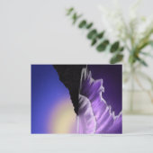 荒海と星空 ポストカード (スタンド正面)