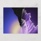 荒海と星空 ポストカード (正面)