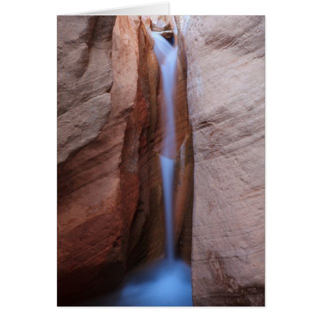 荒涼としたオアシス (正面)