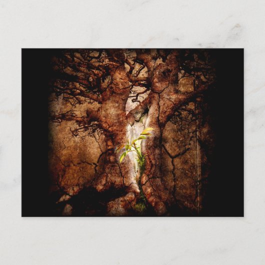 荒涼とした年を取り戻す ポストカード (正面)