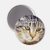 荒生まれ々しい マグネット (正面/裏面)