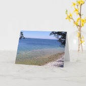 荒磯 カード (黄色い花)