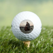 荒野のキリスト（Ivan Kramskoi著） ゴルフボール (インサイチュ 木)