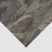 荒野のキリスト（Ivan Kramskoi著） 薄葉紙 (詳細)