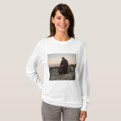 荒野のキリスト(Ivan Kramskoi著) Tシャツ (正面フル)