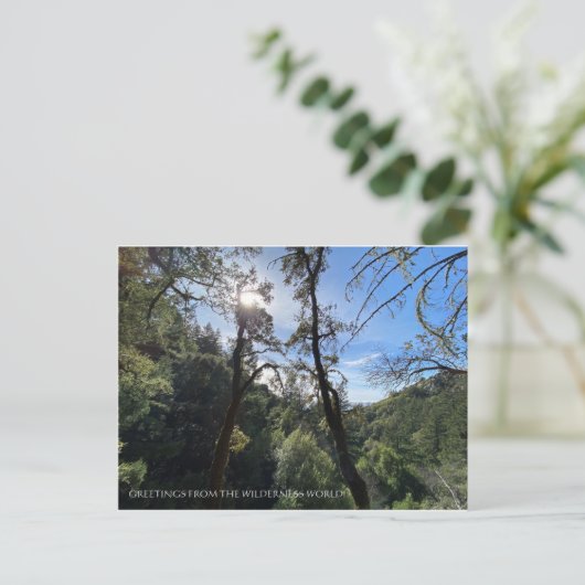 荒野の世界からの挨拶! ポストカード (スタンド正面)