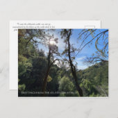 荒野の世界からの挨拶! ポストカード (正面/裏面)