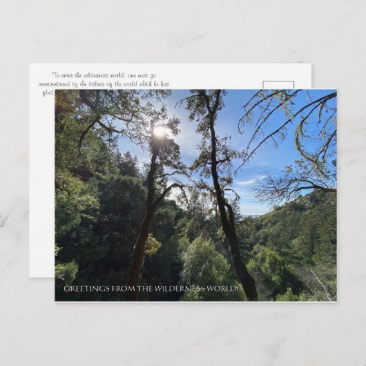 荒野の世界からの挨拶！ ポストカード (正面/裏面)