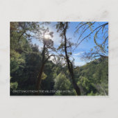 荒野の世界からの挨拶! ポストカード (正面)