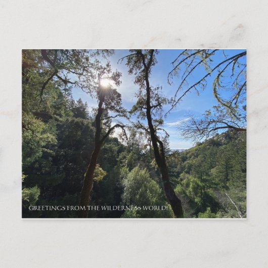 荒野の世界からの挨拶! ポストカード (正面)