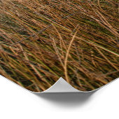 荒野の向こう側 ポスター (角)