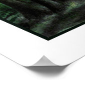 荒野の声 ポスター (角)