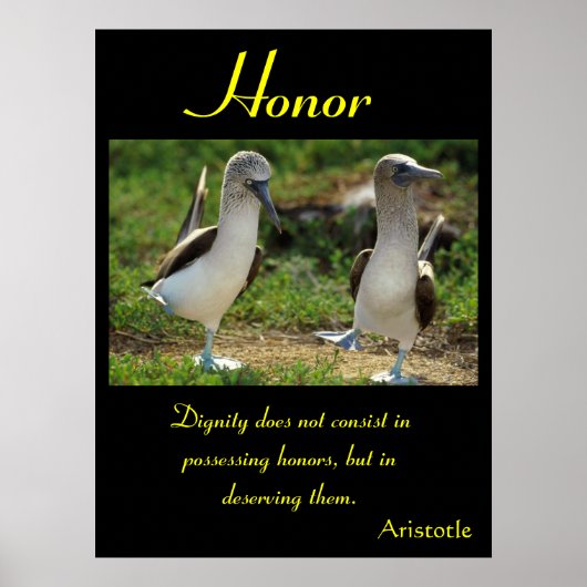 荒野の屈しない精神は名誉を輝かす ポスター (正面)