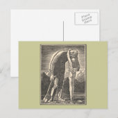 荒野の抱擁 ポストカード (正面/裏面)