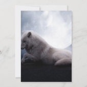 『荒野の王狼』 招待状 (裏面)