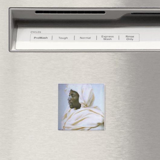 荒野の頭 マグネット (インサイチュ (食洗機))