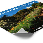 荒野はイザヤ開花35:1に定める ポスター (角)