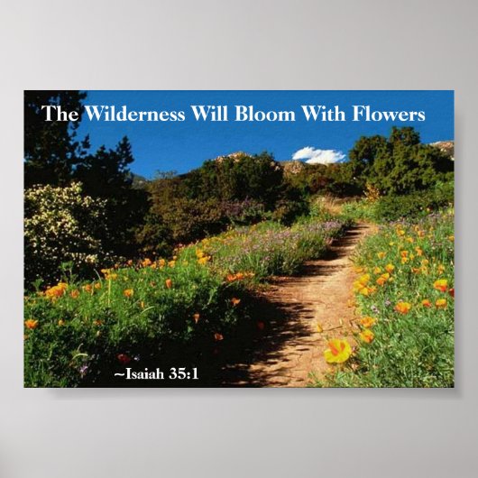 荒野はイザヤ開花35:1に定める ポスター (正面)