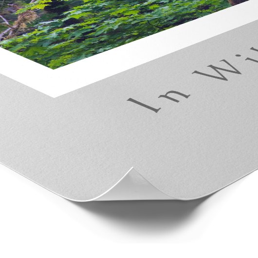 荒野は世界の保存 ポスター (角)