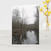 荒野を川で渡る カード (黄色い花)