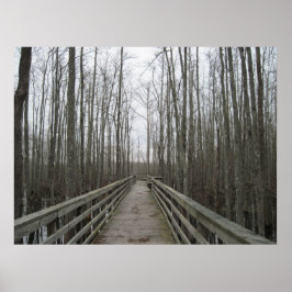 荒野を通る道 ポスター