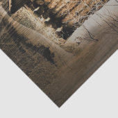 荒野素朴のログキャビン 薄葉紙 (詳細)