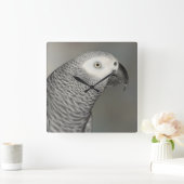 荘厳なアフリカ灰色のオウム スクエア壁時計 (ホーム)